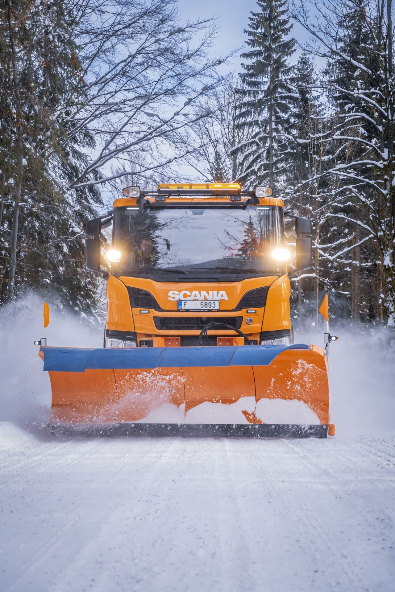 Segmented Snow Plough RSS 26, 29 - Image 7