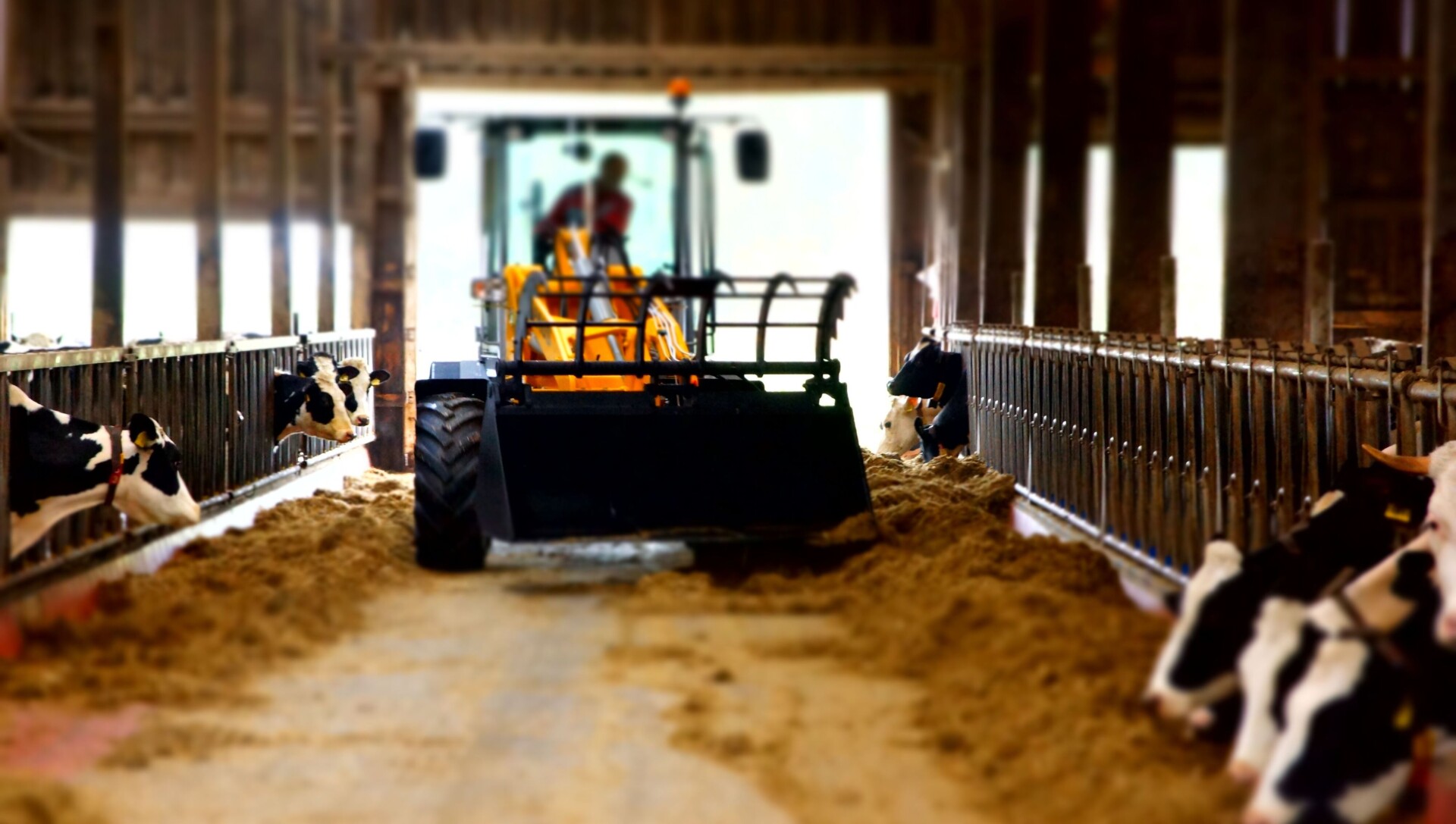 SL Series Telescopic Rotating Loaders - Image 3